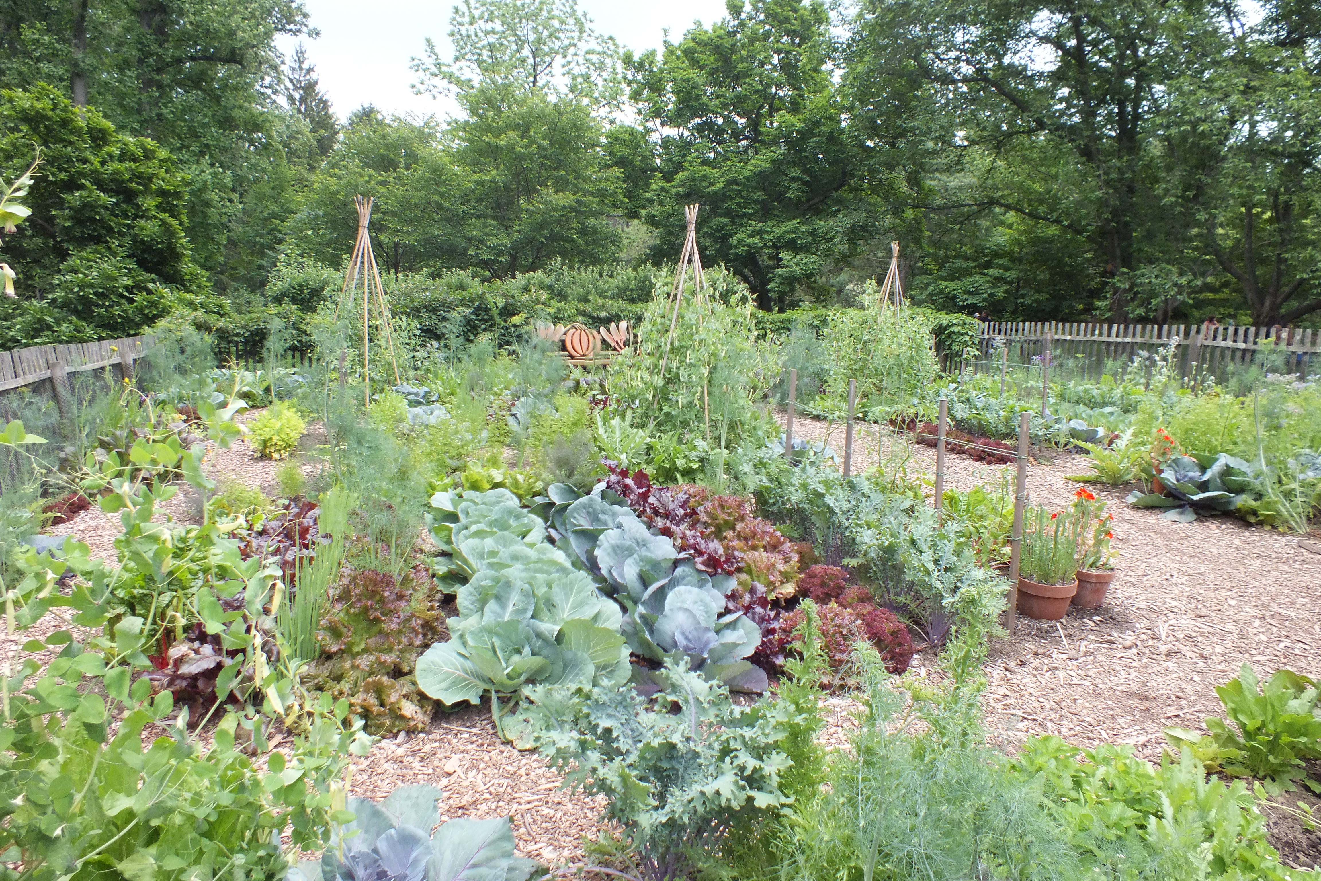 Beneficial Organic Garden Ideas You Can Utilize 1